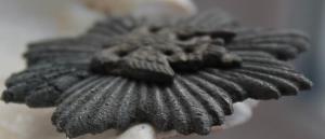 Изображение 13895.jpg