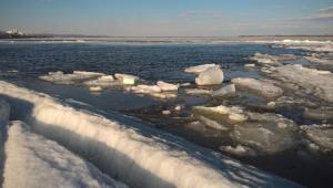 WP_20170402_16_45_30_Pro 04-02-2017.jpg