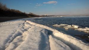 WP_20170402_16_45_39_Pro 04-02-2017.jpg