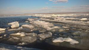 WP_20170402_16_45_45_Pro 04-02-2017.jpg