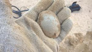 WP_20170402_17_30_19_Pro 04-02-2017.jpg