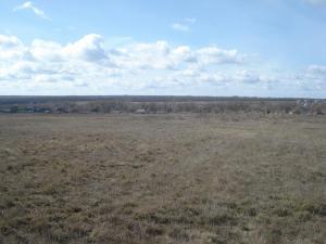 место копа.jpg