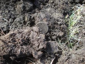 2 копейки А1.jpg