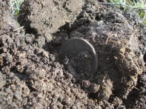 5 копеек ЕII.jpg