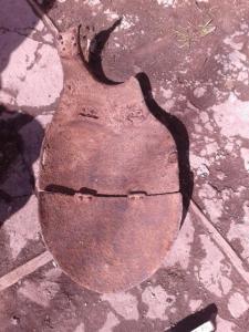 20170408_140350 (Small).jpg