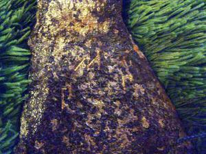 XoRf7GToZnY (1)111.jpg