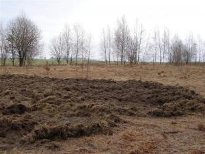 DSC06189 (Medium).JPG