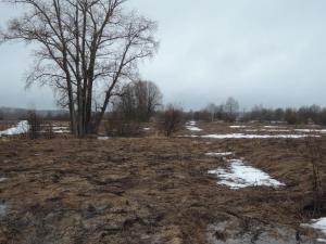 DSCN4230  Логинцы 15 апреля 2017 г..JPG