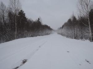 DSCN4233  Снова зима 16 апреля 2017 г..JPG