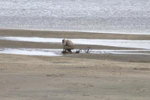 2017_04_22_0423 04-22-2017.jpg