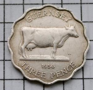 DSC_4691 (Custom).JPG