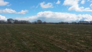 2017-04-23 12-13-10.JPG