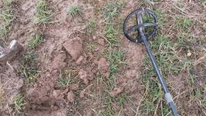 2017-04-24 11-28-31.JPG