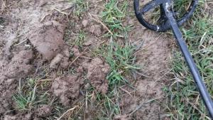 2017-04-24 11-28-38.JPG