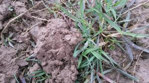 2017-04-24 11-28-41.JPG