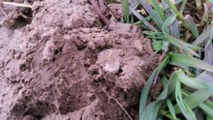 2017-04-24 11-28-45.JPG