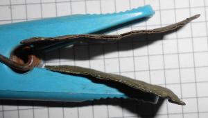 DSCN3707 (Копировать).JPG