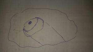 мд регион.jpg