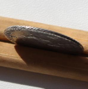 Гривенник 3.jpg