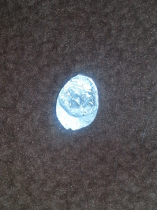 2017-05-27 09.39.34.png