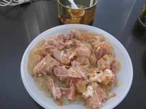 индейка Знаток 1.JPG