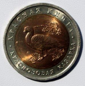 Казарка 2.jpg