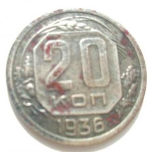 Изображение 21362.jpg