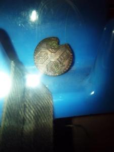 китай медн монета.jpg