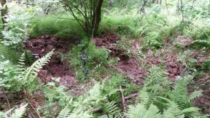 2017-06-09 16-11-57.JPG