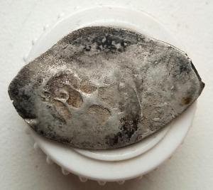 2017-06-26 17.15.46.jpg