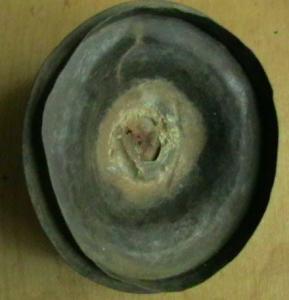 2008-06-06 15-35-00.JPG