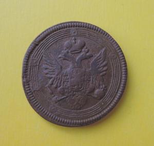 DSCN0001  Кольцевик...JPG