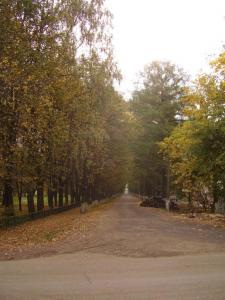Park_in_village_of_Mezerskoe.jpg