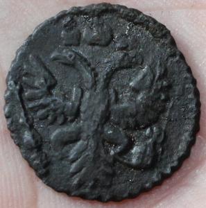 Изображение 970.jpg