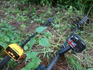 рабочие лошадки.jpg