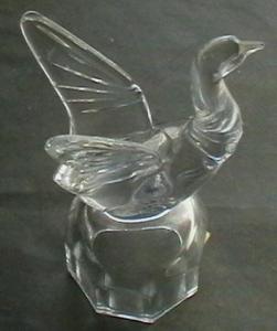 2008-07-22 22-22-00.JPG