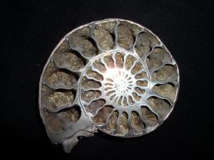 арх. фото 117.jpg