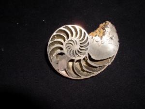 арх. фото 118.jpg