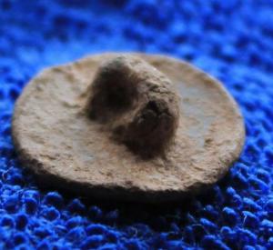 Изображение 444.jpg