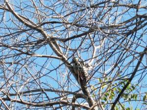 Изображение 368.jpg