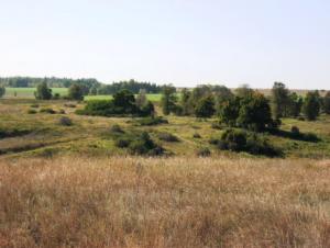 Изображение 367.jpg