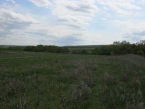 Изображение 254.jpg