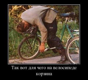 1490946257_demotivatory-6.jpg