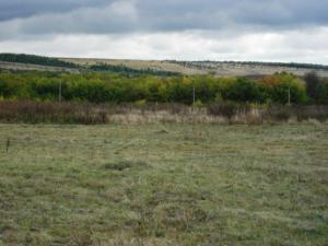 Изображение 385.jpg