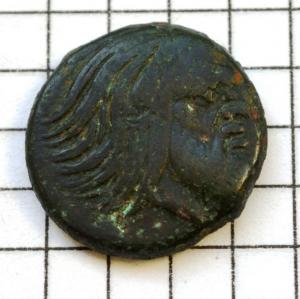 DSC_7523 (Custom).JPG