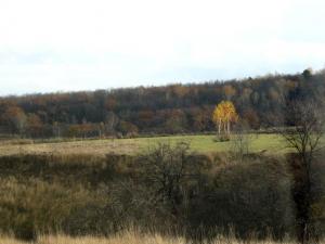 Изображение 415.jpg