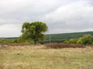 Изображение 386.jpg