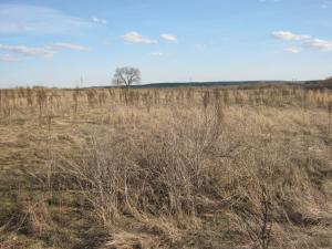 Изображение 191.jpg