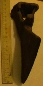 2008-10-19 03-58-00 (2).JPG