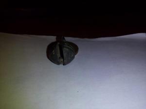 опознать 1.jpg